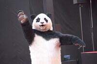 「映画 ネメシス 黄金螺旋の謎」レッドカーペットイベントに登場した日本テレビ系「ZIP!」のキャラクター・星星。