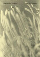 COMEBACK MY DAUGHTERSのZINE表紙画像。