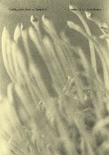 COMEBACK MY DAUGHTERSのZINE表紙画像。