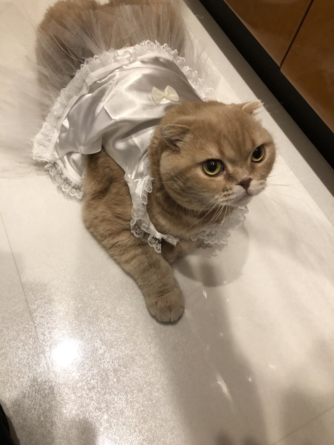 洋服を着たぜっとくん。