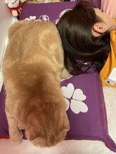 高城れにの枕に乗るぜっとくん。