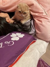 高城れにと一緒に布団に入るぜっとくん。