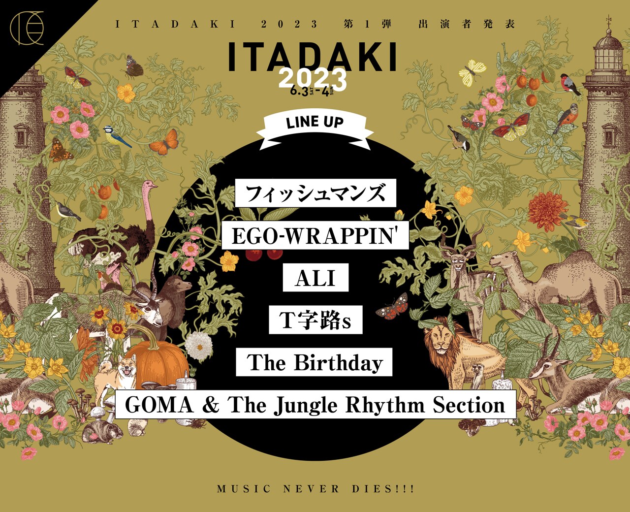 静岡「頂」にフィッシュマンズ、EGO-WRAPPIN'、ALI、Ｔ字路s、The Birthday、GOMA