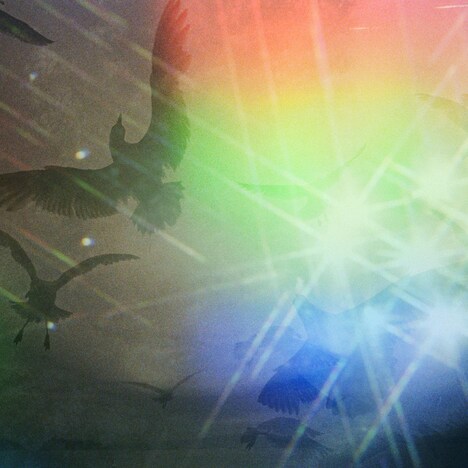 Cornelius「火花」ジャケット