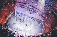 原由子の鎌倉芸術館ワンマンライブの様子。（撮影：西槇太一）