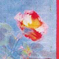 yonawo「Rhodes」配信ジャケット