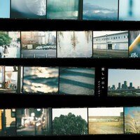 アイビーカラー「愛しい日々」配信ジャケット