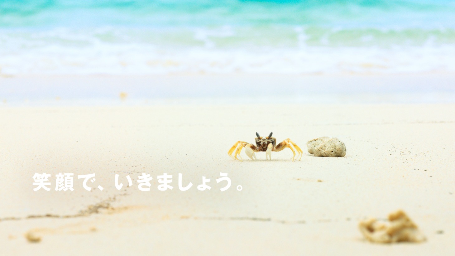株式会社えがお新CM「えがおでいきましょう」編より。