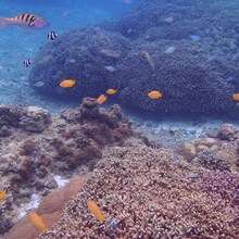 SAI「広高」配信ジャケット