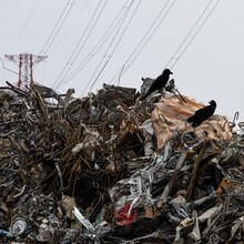 computer fight「suburban blues」ジャケット