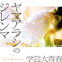 学芸大青春「ヤマアラシのジレンマ」配信ジャケット