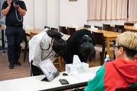 マンマン、土星のネコ。