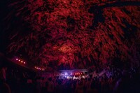 ガンガラーの谷での04 Limited Sazabysのライブの様子。（撮影：藤井拓）