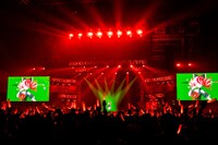 クレイジー・オリーのステージの様子。