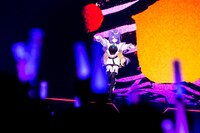 ムーナ・ホシノヴァのステージの様子。