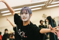 ナオ・オブ・ナオ（豆柴の大群）