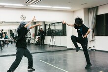 ナオ・オブ・ナオ（豆柴の大群）、チャンアダルト。