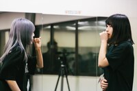 ナオ・オブ・ナオ（豆柴の大群）、チャンアダルト。