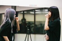 ナオ・オブ・ナオ（豆柴の大群）、チャンアダルト。