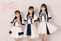 LOVE CCiNO