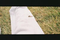 「森田美勇人フォト＆エッセイ『日常』」より。