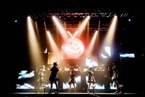 手羽先センセーション