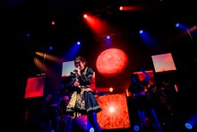 手羽先センセーション