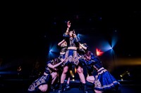 手羽先センセーション