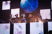 手羽先センセーション