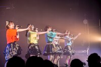 手羽先センセーション