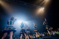 手羽先センセーション