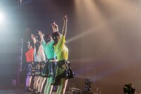 手羽先センセーション