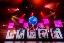 手羽先センセーション