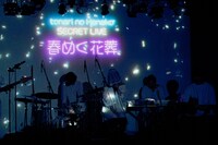 tonari no Hanakoメジャーデビュー記念ライブ「春めく花葬」より。（Photo by Rocky）