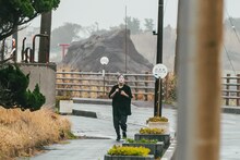 ナオ・オブ・ナオ（豆柴の大群）。