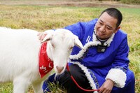 「ヤギと大悟」より。(c)テレビ東京