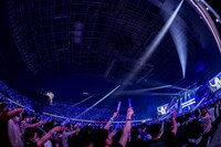 パヴォリア・レイネ