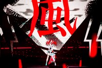 ハコス・ベールズ