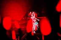 ハコス・ベールズ