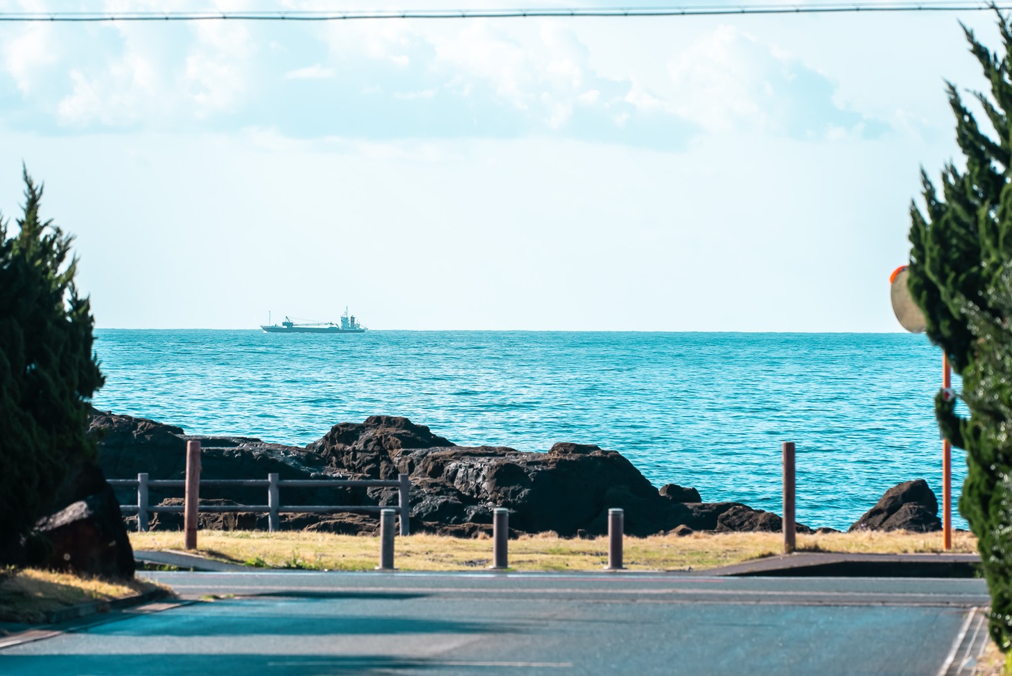 海