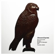 AmamiAynu「Amamiaynu」ジャケット