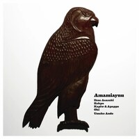 AmamiAynu「Amamiaynu」ジャケット