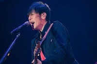 「Golden Circle Special いつかの僕らの夢、星になれたかな」の模様。