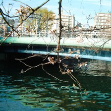 Cody・Lee(李)「おどる ひかり」ジャケット