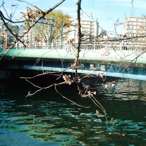 Cody・Lee(李)「おどる ひかり」ジャケット