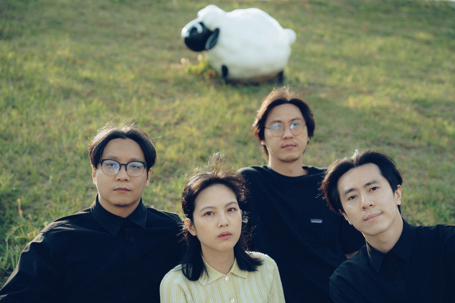 Manic Sheep