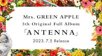 Mrs. GREEN APPLE「ANTENNA」告知画像