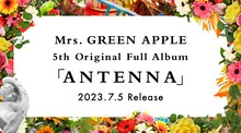 Mrs. GREEN APPLE「ANTENNA」告知画像