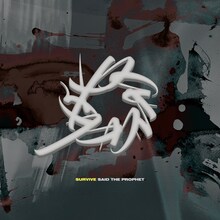 Survive Said The Prophet「Paradox」配信ジャケット