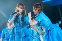 日向坂46「4周年記念MEMORIAL LIVE ～4回目のひな誕祭～」の様子。（撮影：上山陽介）